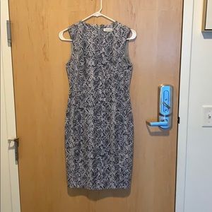 Calvin Klein Dress